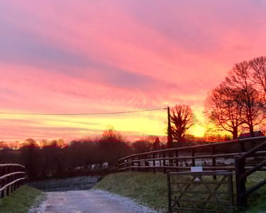 Coucher de soleil à l'association le cheval un guide