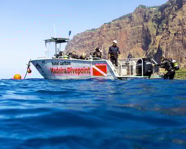Snorkeling Boat in Funchal, guided tour