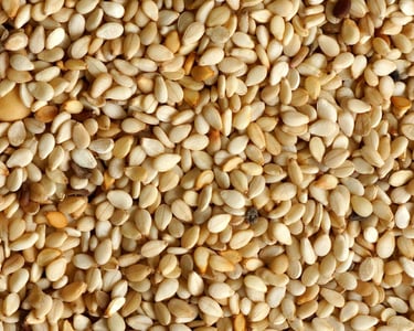 Biggest Sesame Seed Exporters in Pakistan