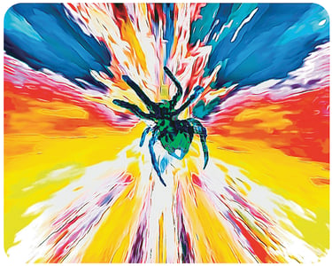 Pop art of green and blue spider on a rainbow web.