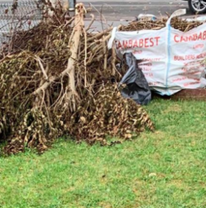 Garden clearance removing overgrowth and waste
