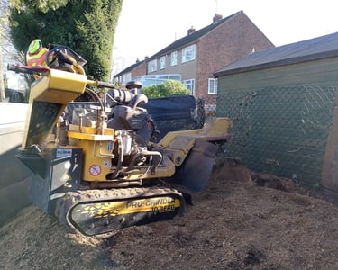 Stump grinding to below ground level