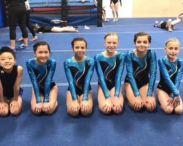 Gymnastcis Inc tumbling acro and tumble handspring tuck party birthday 