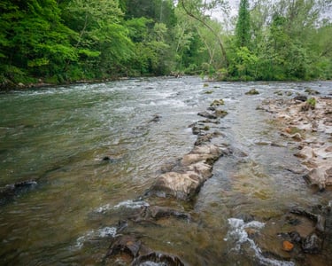 Watauga River Fly Fishing Elizabethton Tennessee