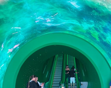 Super Nintendo World - Warp Pipes Use Escalators?