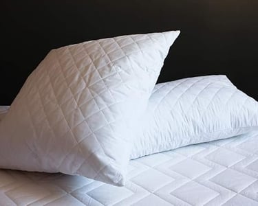 a pair of pillows and pillows on a bed
