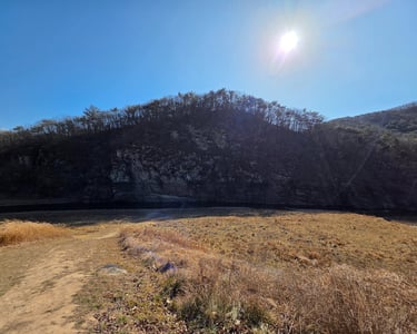 Bangudae Terrace petroglyph area