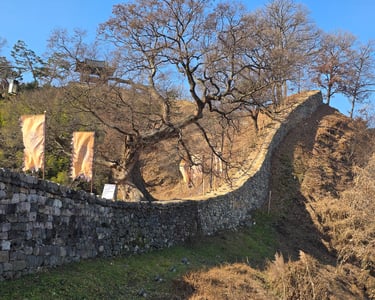 Gongsanseong Fortress in Gongju