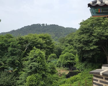 View from the north gate