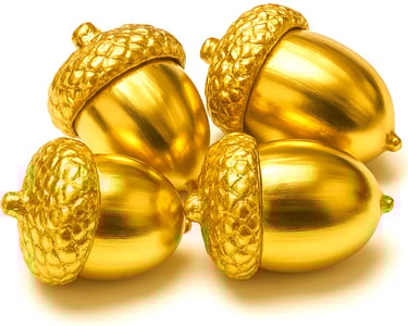 Funding for Mining Projects