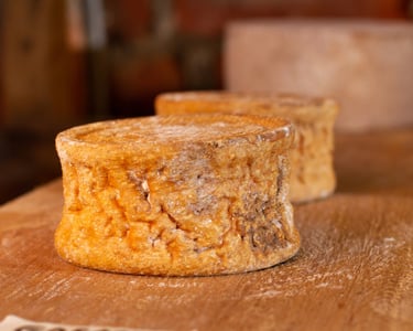 Rustic rounds of aged artisanal cheese with a natural orange rind resting on a wooden cellar shelf.
