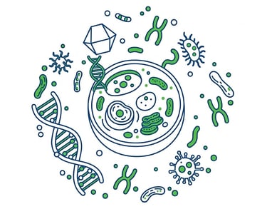 Korepetycje z biologii Online i w Gdańsku