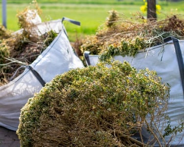 "Weed free garden bed maintenance Hastings NSW 2444"