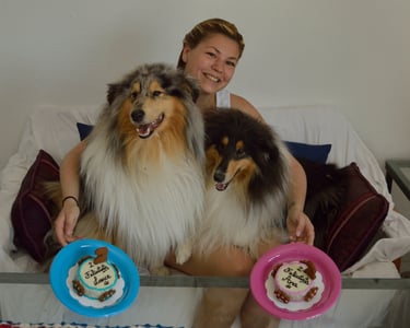 gâteau d'anniversaire pour chiens