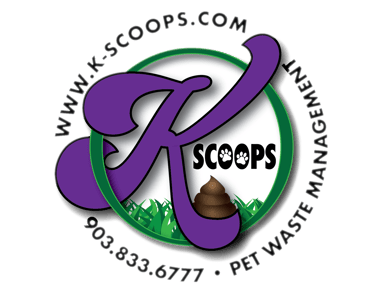 K-SCOOPS.com | Logo