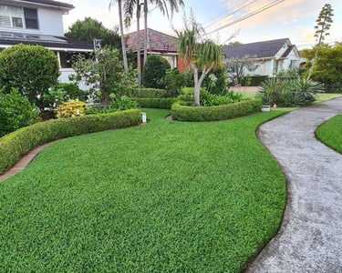 Beautifully installed Buffalo Grass lawn at a residential home in Whitefield, Bangalore