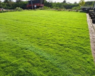 Recently completed Bermuda Grass project in Koramangala, Bangalore