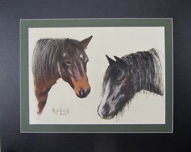 Commissioned double portrait of two horses, taken from owner's photograph, drawn in soft pastel