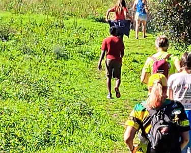group of people hiking up a path in grassland