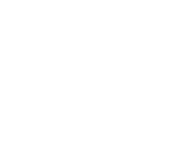 Mango Insurance vertė partneriams