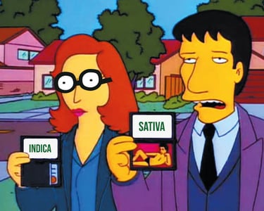Dana Skully y Fox Mulder en Los Simpsons sosteniendo sus identificaciones: índica y sativa.