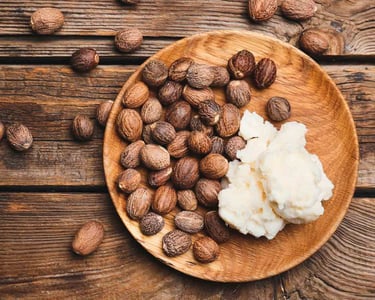 Raw shea nuts alongside smooth, creamy, unrefined and organic shea butter from Uganda, EastAfrica