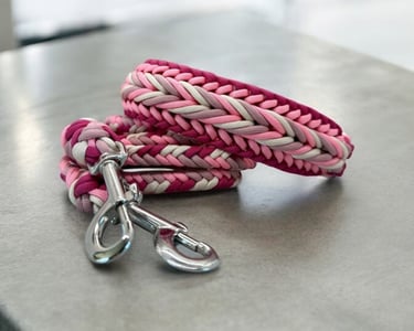 Collar y correa para mascota hecha de paracord y Bio Thane