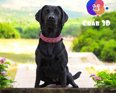 Perro usando collar elaborado a mano con paracord