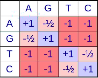 DNA Scoring Matrix