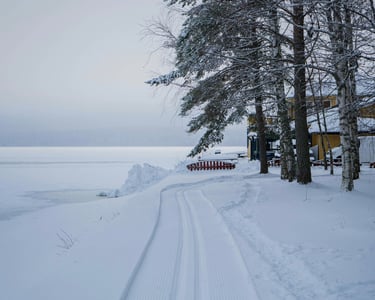 Snowy cottage with frozen lake and winter driveway.