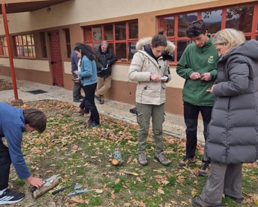 Taller de trabajo en madera, haciendo piquetas