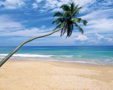 Alankuda beach