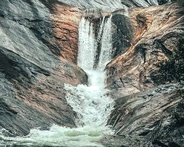 Nestled in the heart of Sri Lanka's verdant landscape, Na Ella Falls is a captivating natural wonder