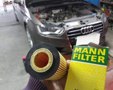 Премиум сервис ауди , германски филтри МАН филтер