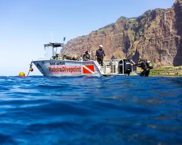 Snorkeling Boat in Funchal, guided tour