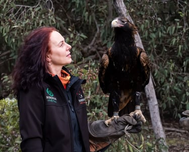 a woman holding a bird of prey in her hand