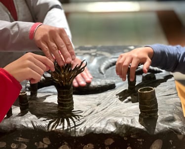 Fot. Justyna Józefowicz, Newcastle