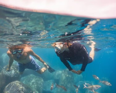 Snorkeling in Funchal, self-guided