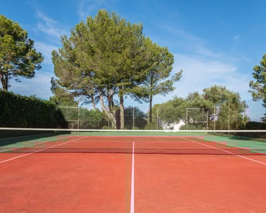 a tennis court with a net 