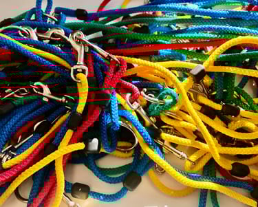 Fot. Justyna Józefowicz