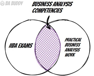 BABUDDY Blog- Underlying competencies for ECBA