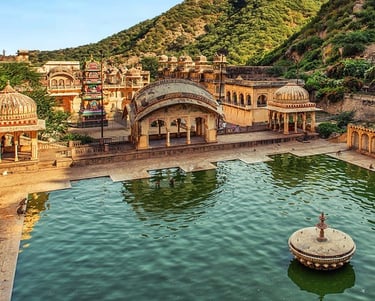 Monkey temple jaipur