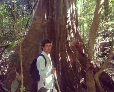 Svend Koerting - Co-Founder Terra Forest