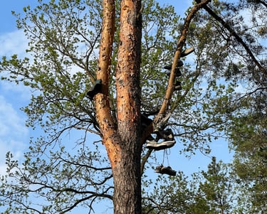 Fot. Justyna Józefowicz, gdzieś pod Warszawą