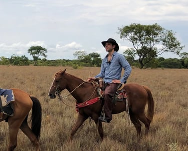 Vichada, Colombia. Terra Forest