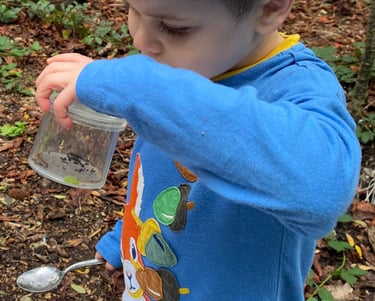 a young boy is holding a bug pot and spoon. He is looking at a bug in the pot.