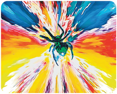 Pop art of green and blue spider on a rainbow web.