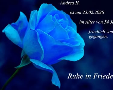 Andrea H.