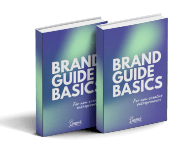 brand guide book
