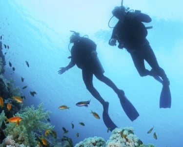 scuba diving in apo island